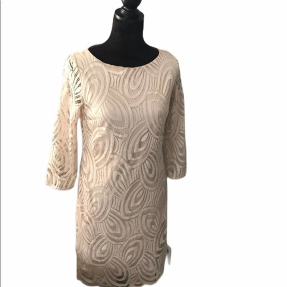 NWT Wallis Laced Shift Dress